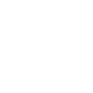 bouwinfosys