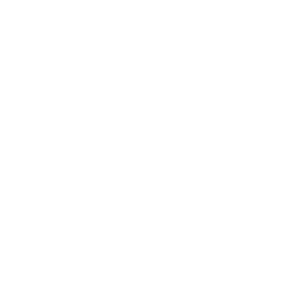 SAP Successfactors